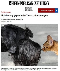Versicherung gegen hohe Tierarztkosten - RNZ Heidelberg